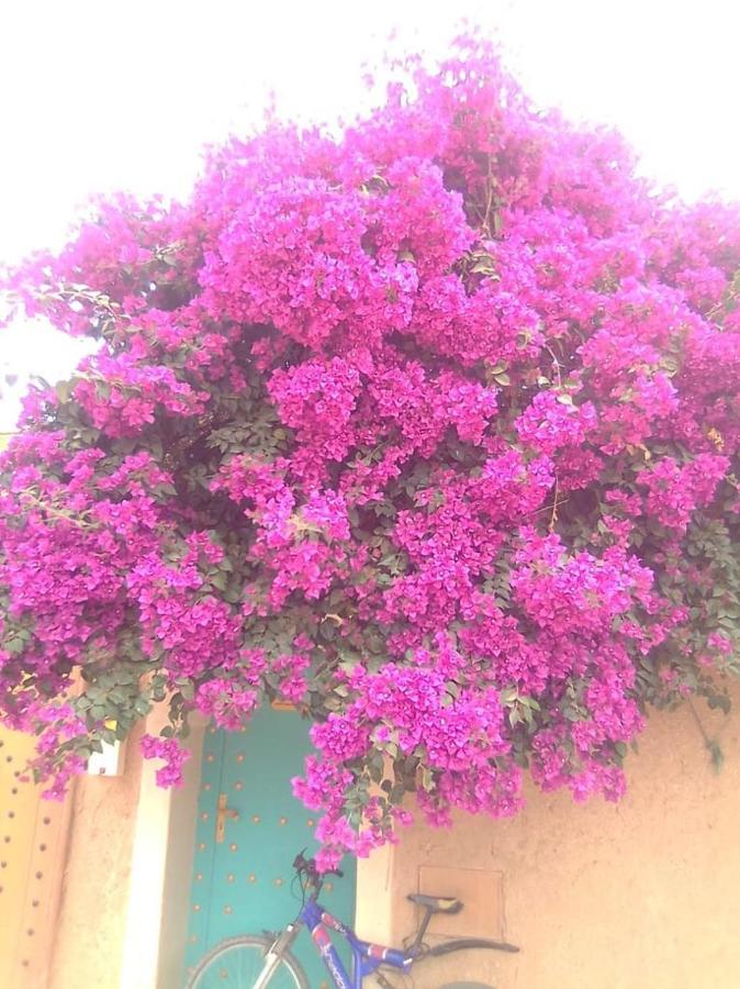 Riad Zidania ทารัวแดนท์ ภายนอก รูปภาพ
